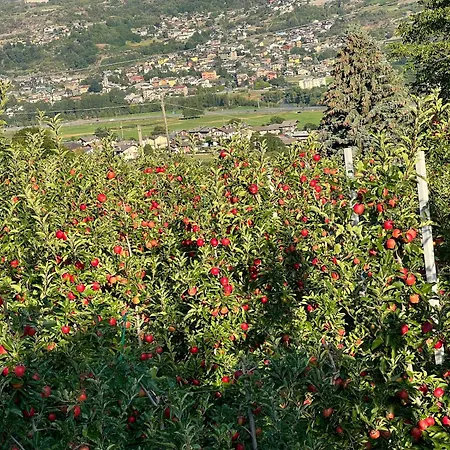 Maison Moline 公寓 *