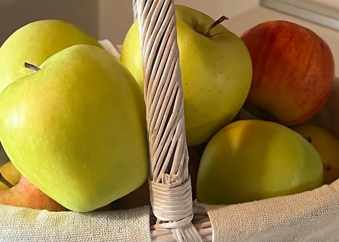 Appartement Maison Moline *