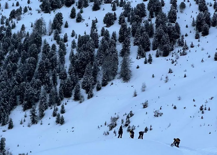 Appartement Maison Moline *