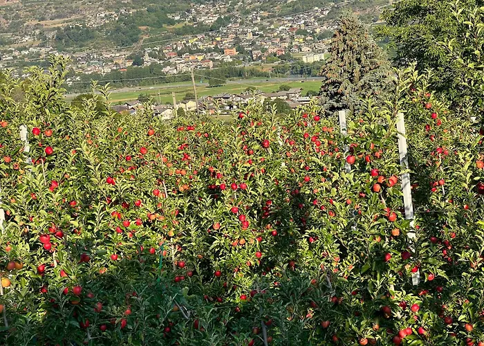 Maison Moline Apartment *